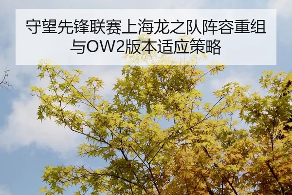 守望先锋联赛上海龙之队阵容重组与OW2版本适应策略